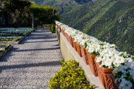 Ravello_Vllla_Rufolo-18.jpg