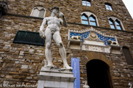 Florence-53.jpg