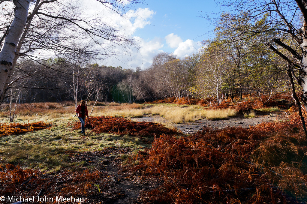 Caldera_and_Manziano_Woods_on_Pre_Scout-11.jpg