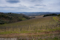 Cantalici_Winery-1.jpg