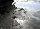 Iguana in sky  Reflection in Galapagos